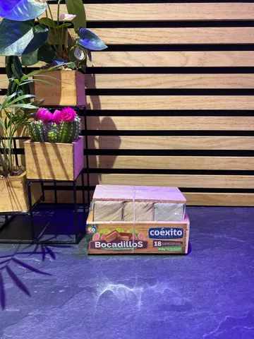 Bocadillos de Guayaba Tradicional
