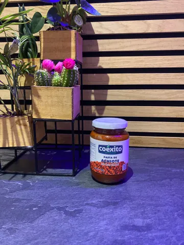 Pasta de achiote